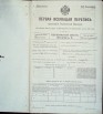 Первая всеобщая перепись населения Российской империи 1897 года, Рязанская губерния, Раненбургский уезд