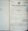 Первая всеобщая перепись населения Российской империи 1897 года, Рязанская губерния, Скопинский уезд