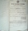Первая всеобщая перепись населения Российской империи 1897 года, Рязанская губерния, Спасский уезд